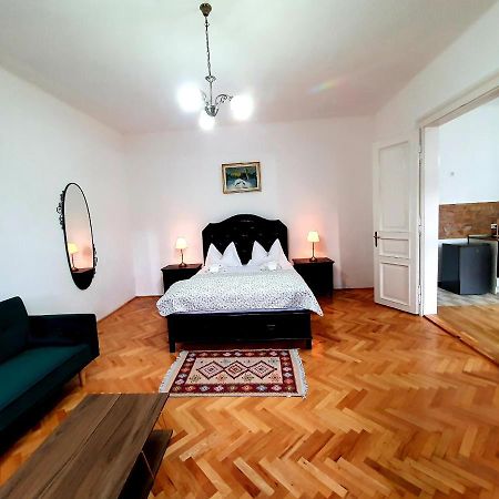 Maximus Apartments Sighișoara Zewnętrze zdjęcie