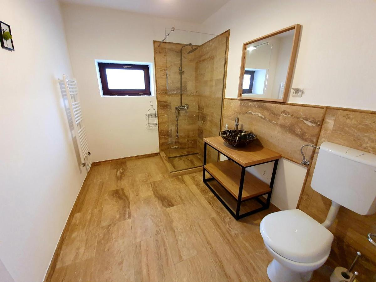 Maximus Apartments Sighișoara Zewnętrze zdjęcie